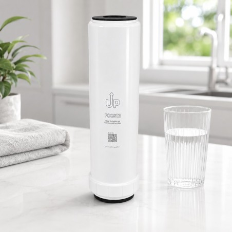 Aqua Filter FCCST2 για προστασία θερμοσίφωνα και λεβήτων