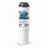 Dual stage GAC carbon filter Aqua Filter FCCA-STO