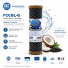 Aqua Filter FCCBL-G Gold Series carbon block filter 10 inc