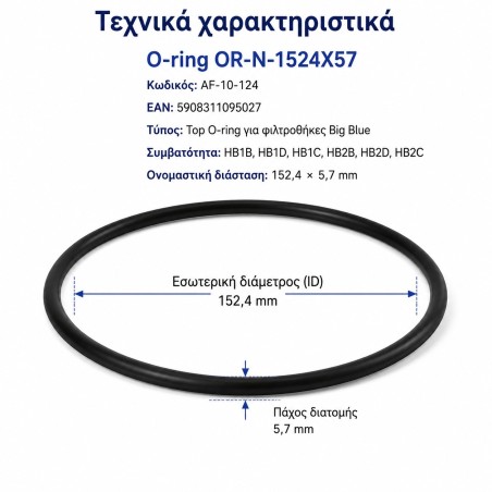 Λάστιχο στεγανοποίησης Big Blue Aqua Filter