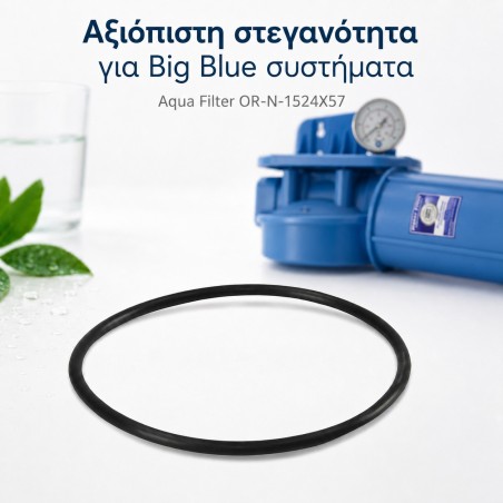 Ανταλλακτικό O-Ring φιλτροθήκης Big Blue